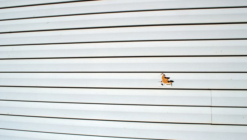 Local Sheet Vinyl Repair in Sarasota, FL