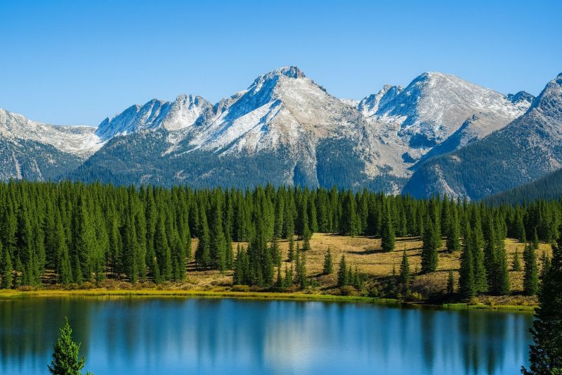 Local Engineered Floor Repair in Lafayette, CO