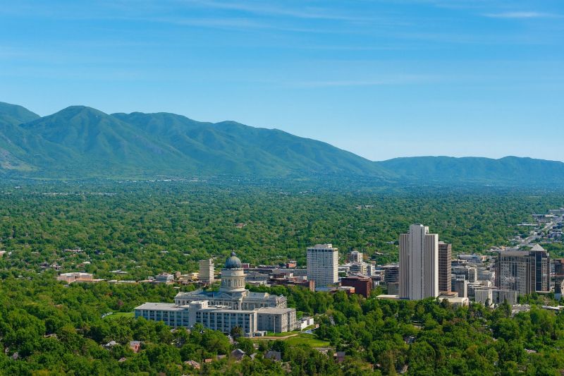 Local Engineered Wood Installation in Midvale, UT