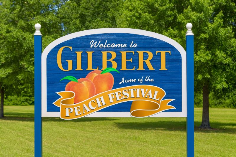 Local Engineered Wood Installation in Gilbert, SC