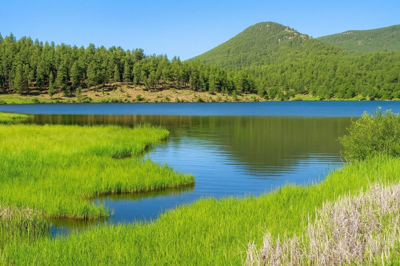 Local Engineered Wood Installation in Evergreen, CO