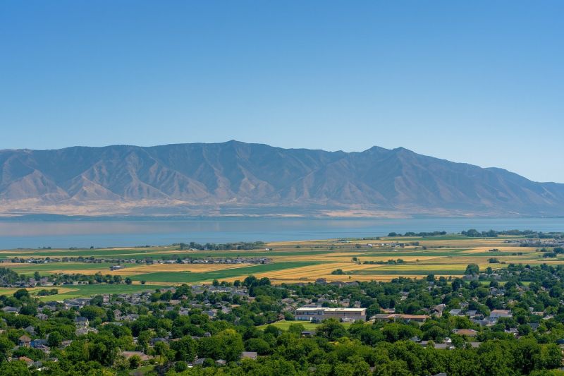 Local Engineered Wood Installation in Pleasant Grove, UT