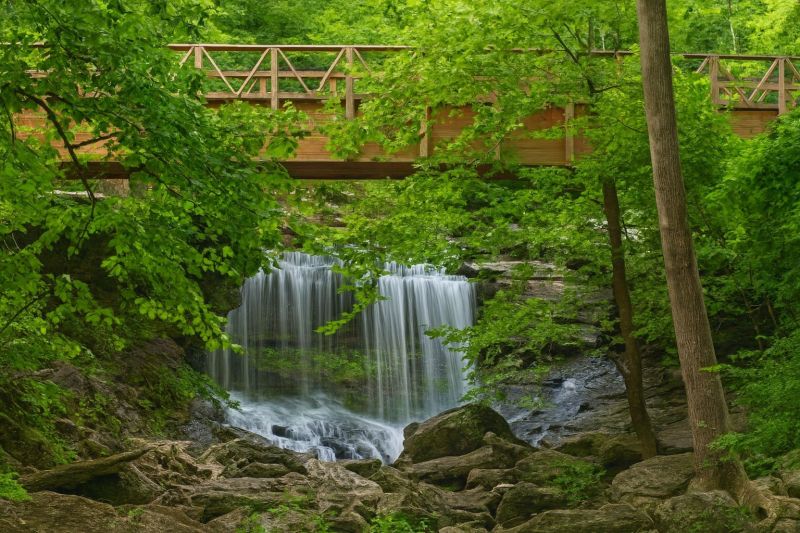 Local Engineered Wood Installation in Bella Vista, AR