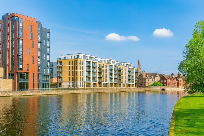 Local Engineered Wood Installation in Bedford, TX