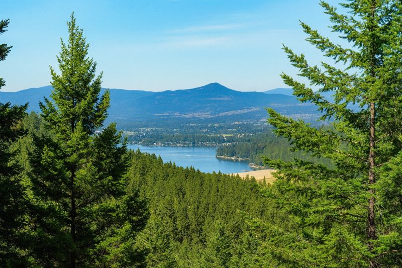 Local Engineered Wood Installation in Liberty Lake, WA