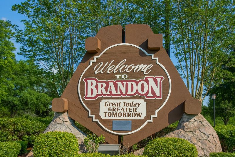 Local Engineered Wood Installation in Brandon, FL