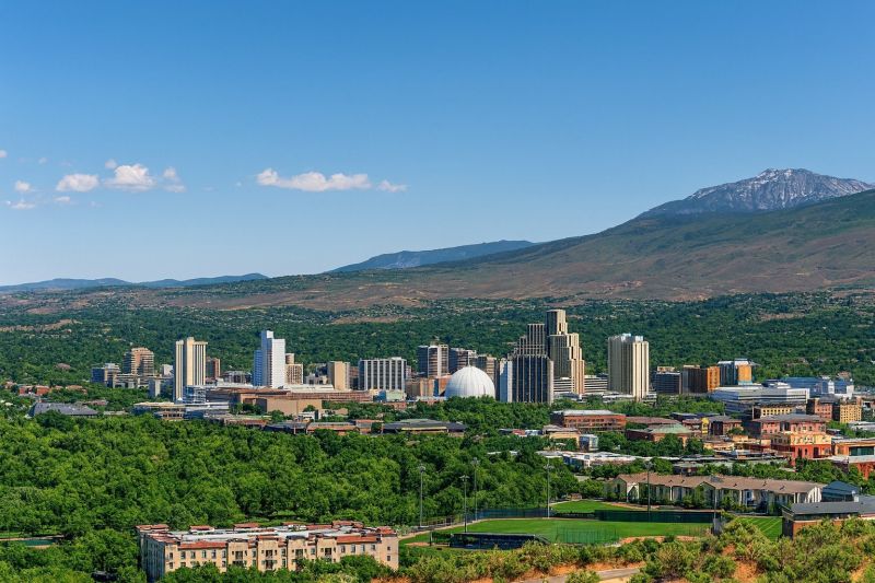 Local Engineered Wood Installation in Sparks, NV