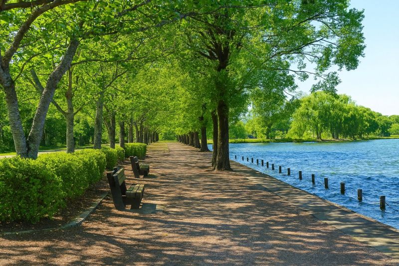 Local Laminate Floor Installation in High Ridge, MO
