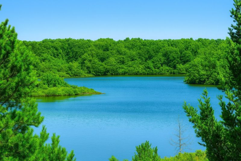 Local Linoleum Floor Installation in Egg Harbor Township, NJ