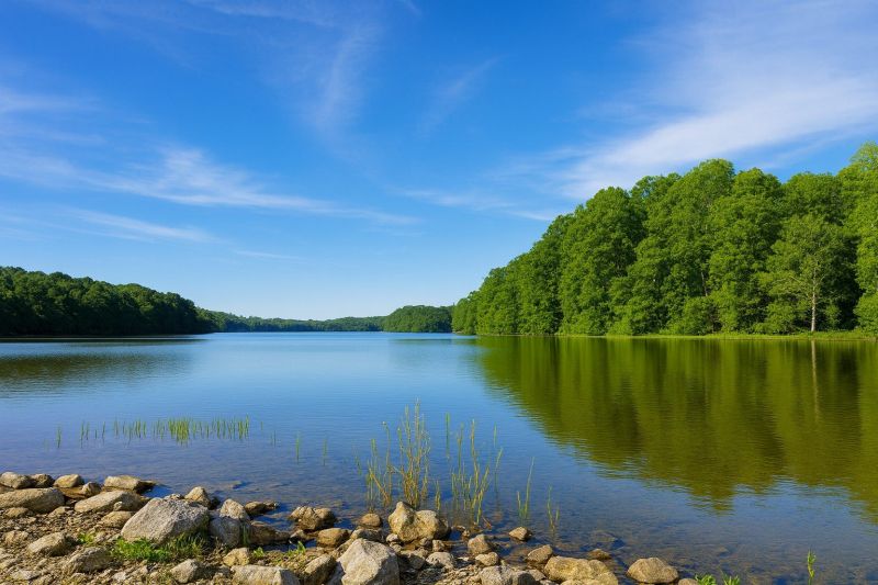 Local Luxury Vinyl Tile Installation in Burke, VA
