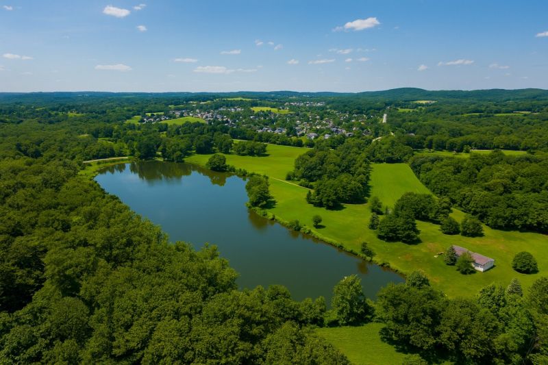 Local Luxury Vinyl Tile Installation in Douglassville, PA