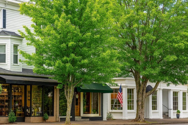 Local Luxury Vinyl Tile Installation in Ridgefield, WA