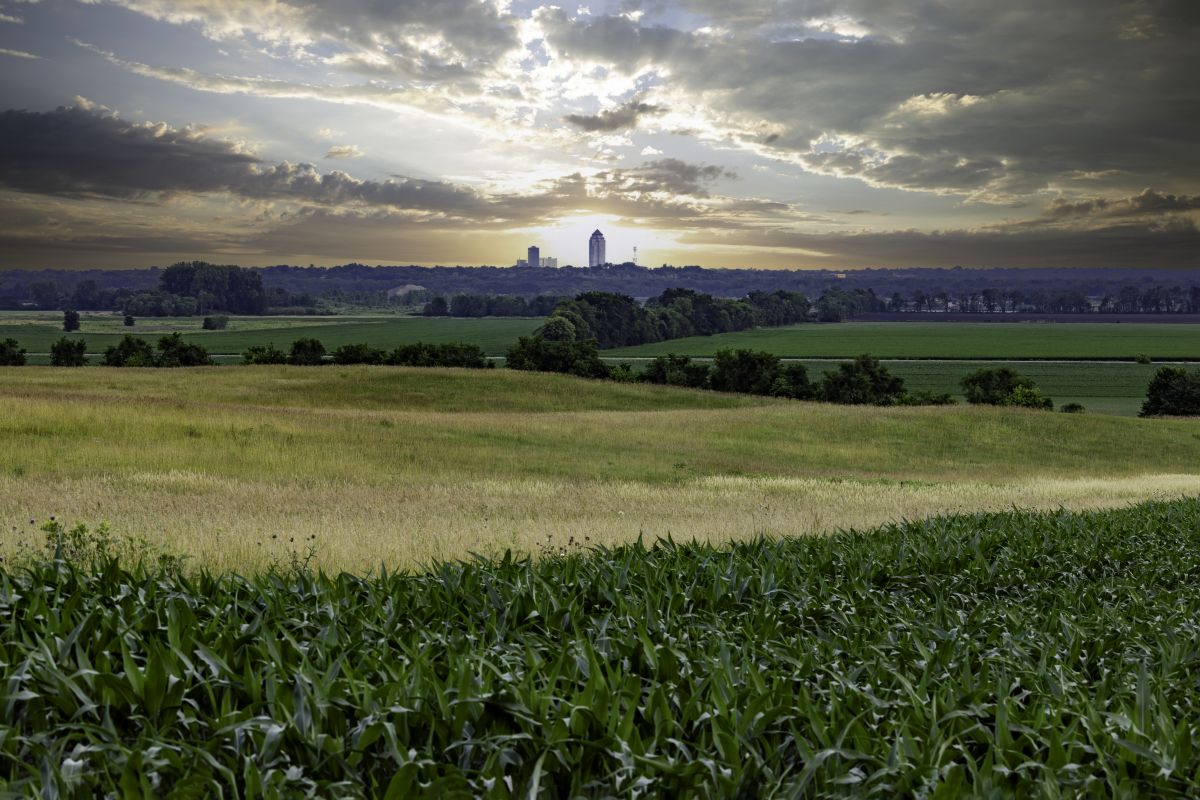 Local Luxury Vinyl Tile Installation in West Des Moines, IA