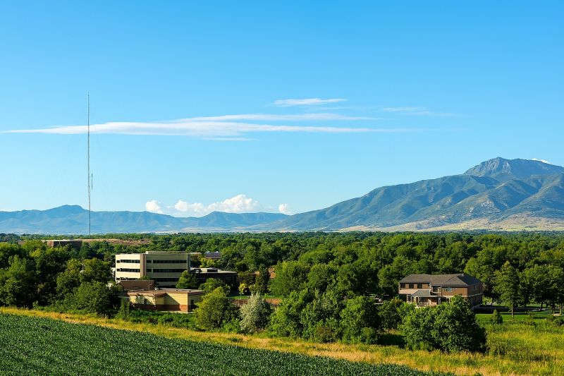 Local Lvt Flooring Installation in Layton, UT