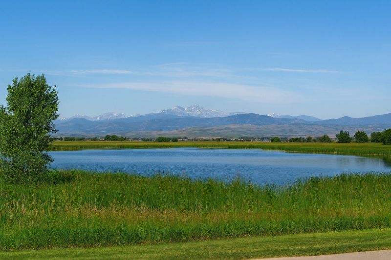 Local Lvt Flooring Installation in Timnath, CO