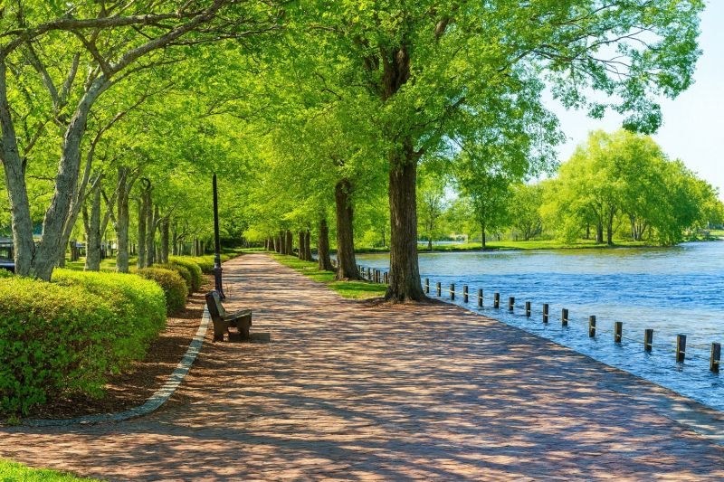 Local Lvt Flooring Installation in Locust Grove, VA