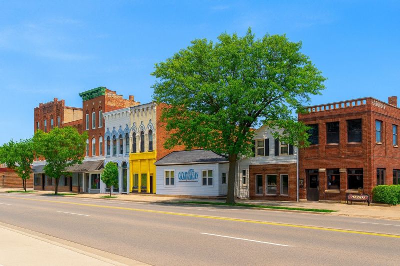Local Lvt Flooring Installation in Charlotte, MI