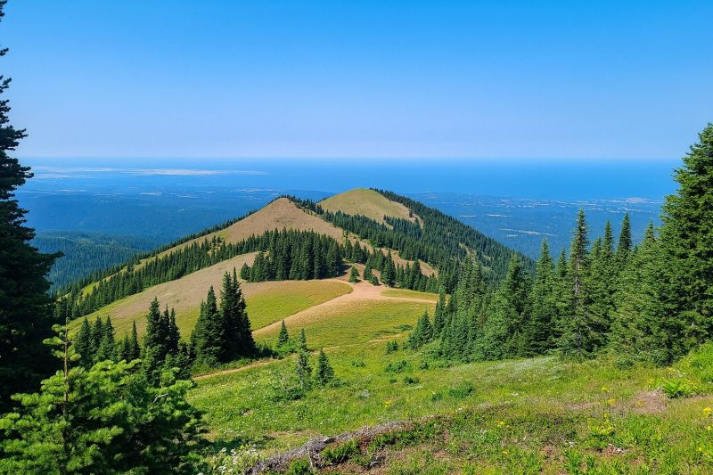 Local Plank Laminate Installation in Deer Park, WA
