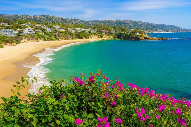 Local Sheet Flooring Installation in Laguna Beach, CA