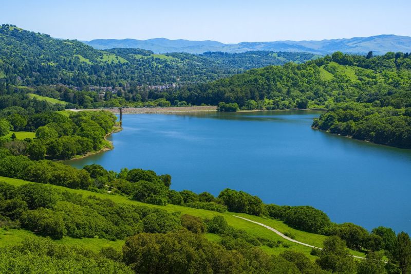 Local Sheet Flooring Installation in Lafayette, CA