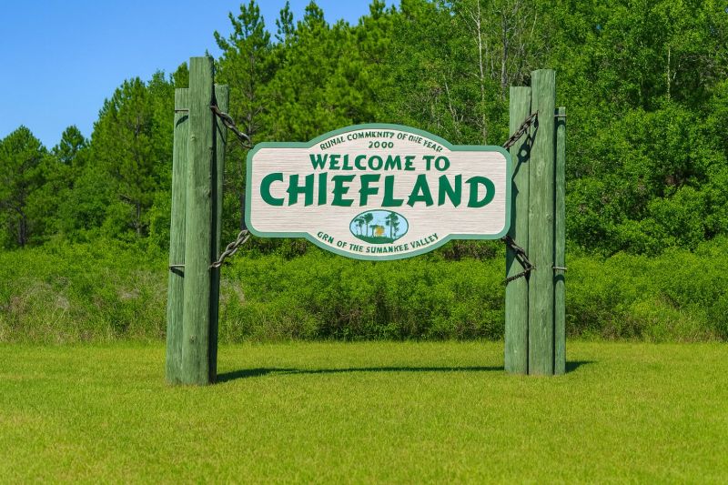 Local Sheet Flooring Installation in Chiefland, FL