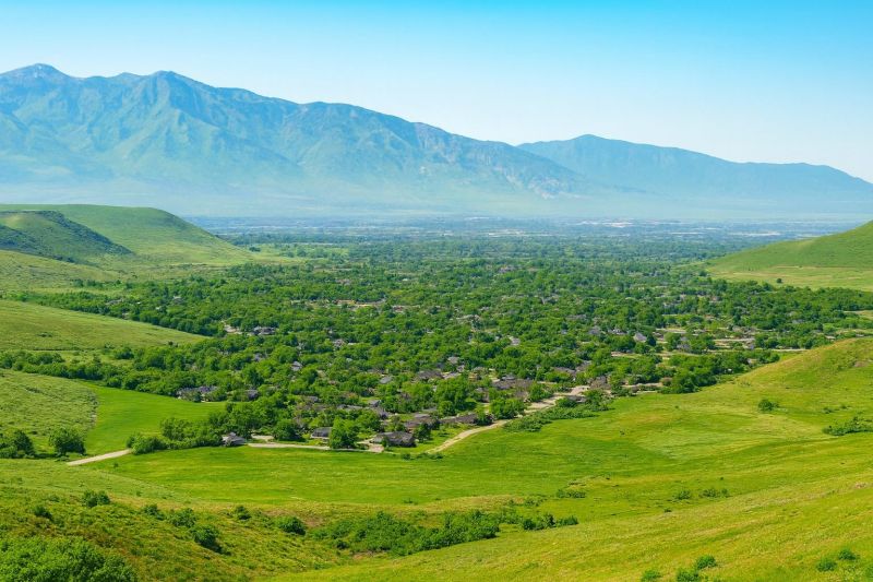 Local Sheet Flooring Installation in Santaquin, UT
