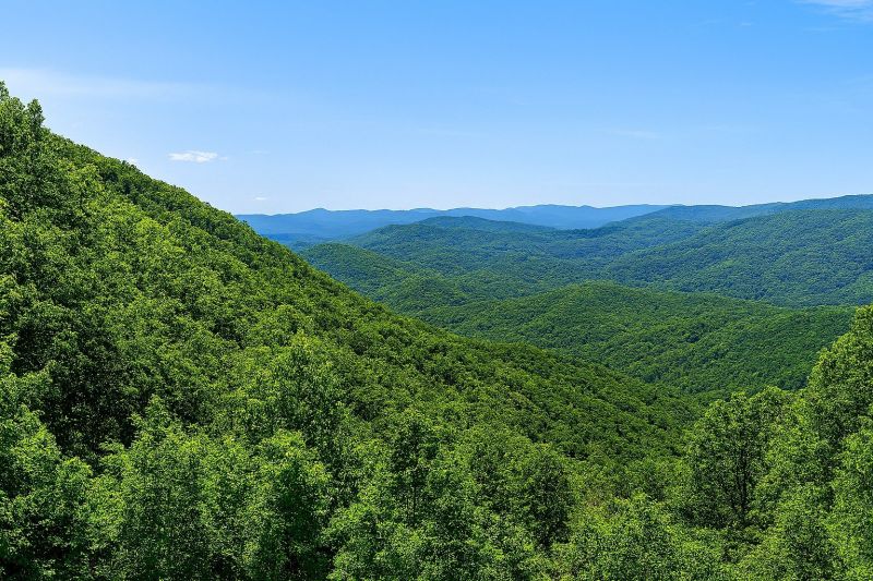 Local Sheet Linoleum Installation in Ellijay, GA