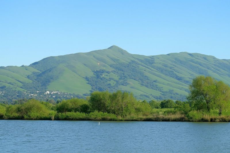 Local Sheet Linoleum Installation in Fremont, CA