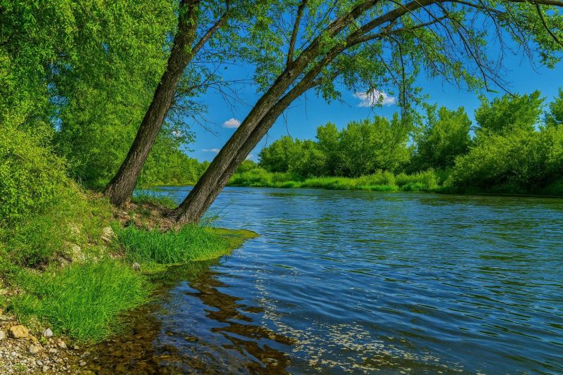 Local Vinyl Flooring Installation in Middleton, ID