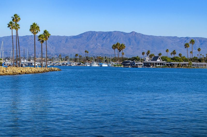 Local Vinyl Flooring Installation in Del Mar, CA