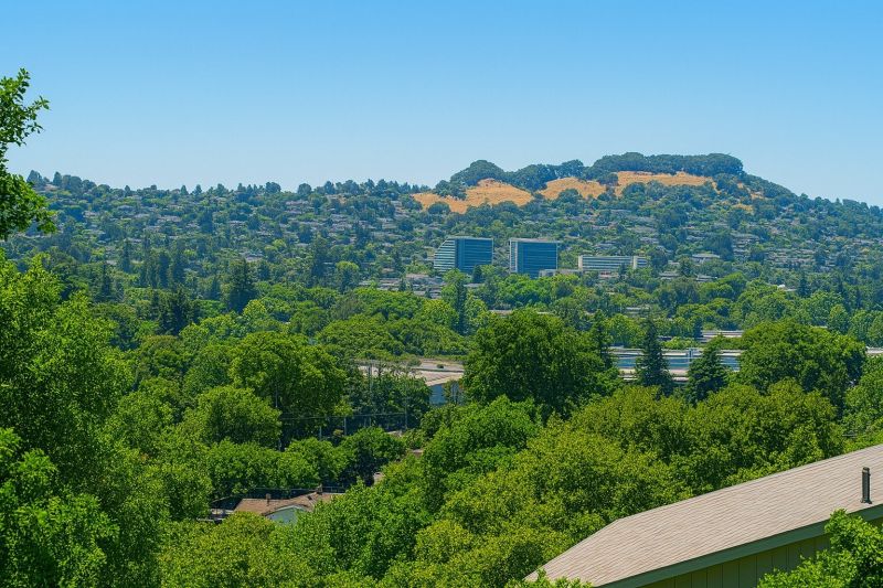 Local Vinyl Flooring Installation in Castro Valley, CA