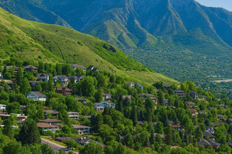 Local Vinyl Flooring Installation in Farmington, UT