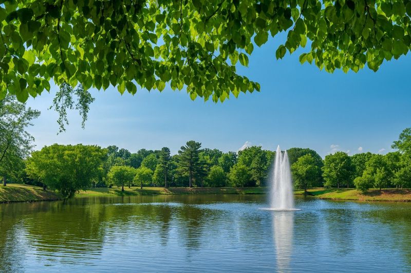 Local Vinyl Plank Floor Installation in Fairview, NC