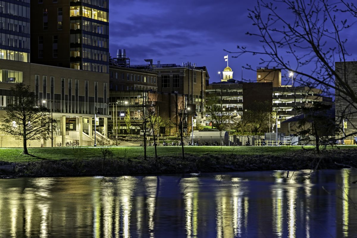 Local Vinyl Plank Floor Installation in Iowa City, IA