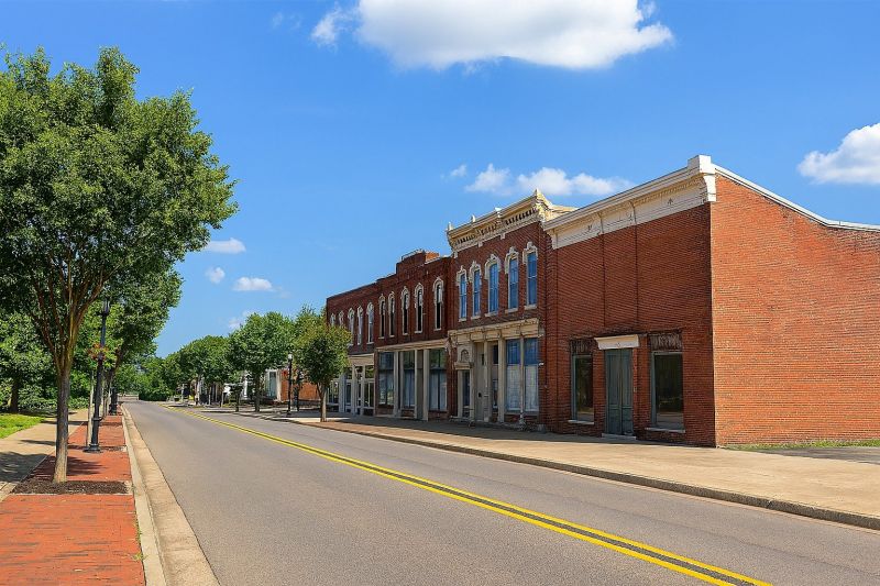 Local Vinyl Plank Floor Installation in Hendersonville, TN